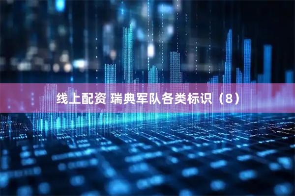 线上配资 瑞典军队各类标识（8）