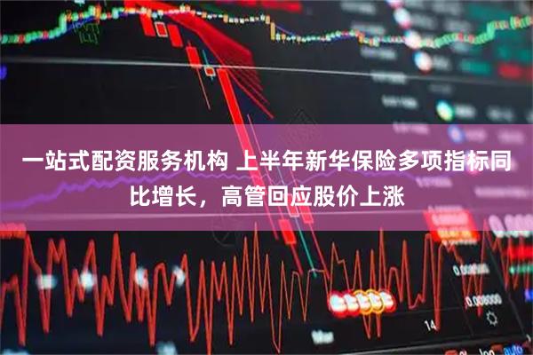 一站式配资服务机构 上半年新华保险多项指标同比增长，高管回应股价上涨