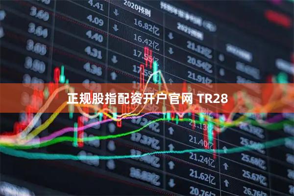 正规股指配资开户官网 TR28